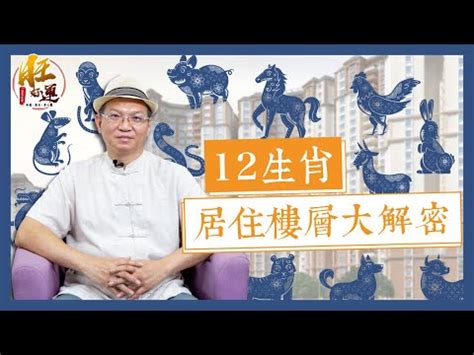 屬蛇樓層|【屬蛇樓層】屬蛇樓層風水指南：破解住錯層的厄運！